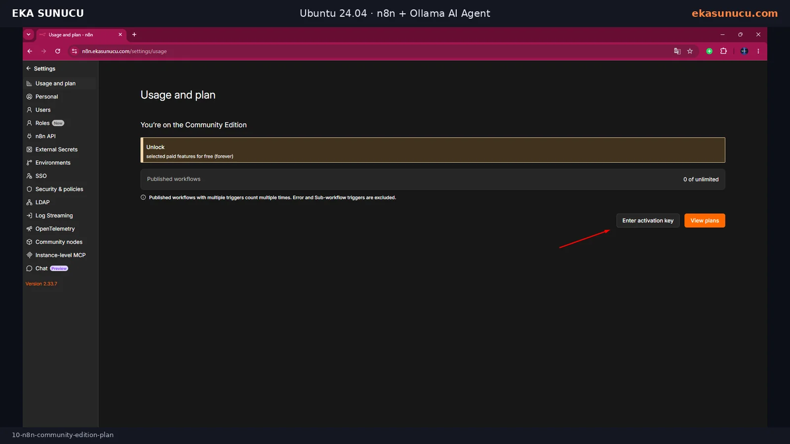 n8n Community Edition Usage and plan screen.