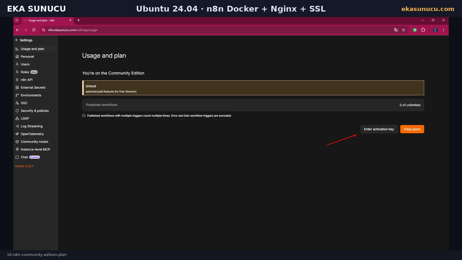 Nutzungs- und Planansicht der selbst gehosteten n8n Community Edition.
