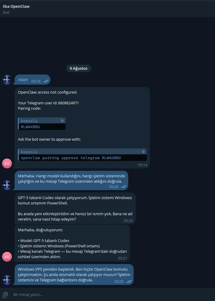 Post-reboot Telegram verification message sent without manually starting OpenClaw. Post-reboot Telegram verification message sent without manually starting OpenClaw.